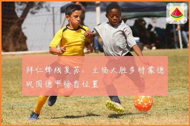 拜仁锋线复苏，主场大胜多特蒙德巩固德甲榜首位置